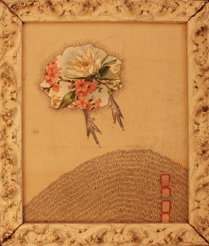 [A piece from Dan Barry's "Flowerbird / fiore di uccelli" series; found frame and paper, graphite and Elmer's glue; dimensions unknown, 2011. 
