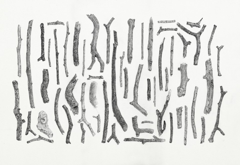 [Katie Ridley Murphy's “Lil Feather,” pencil on paper, 20” x 28”; 2013.]