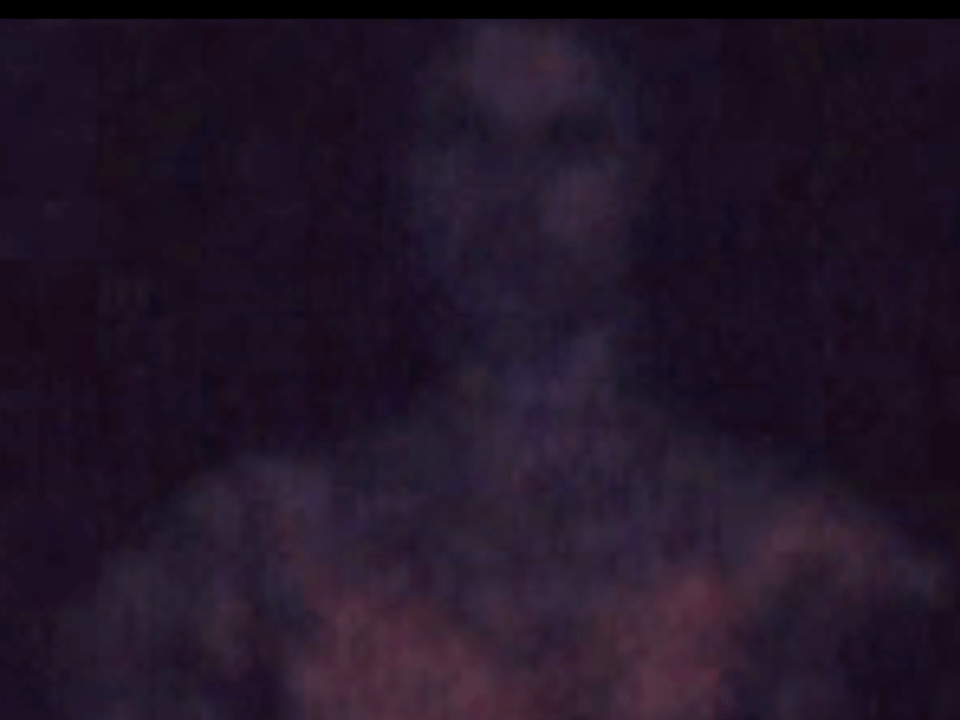 ["Too Sensitive," 32 minute loop of all 175 original source images, SD video; 2013.]